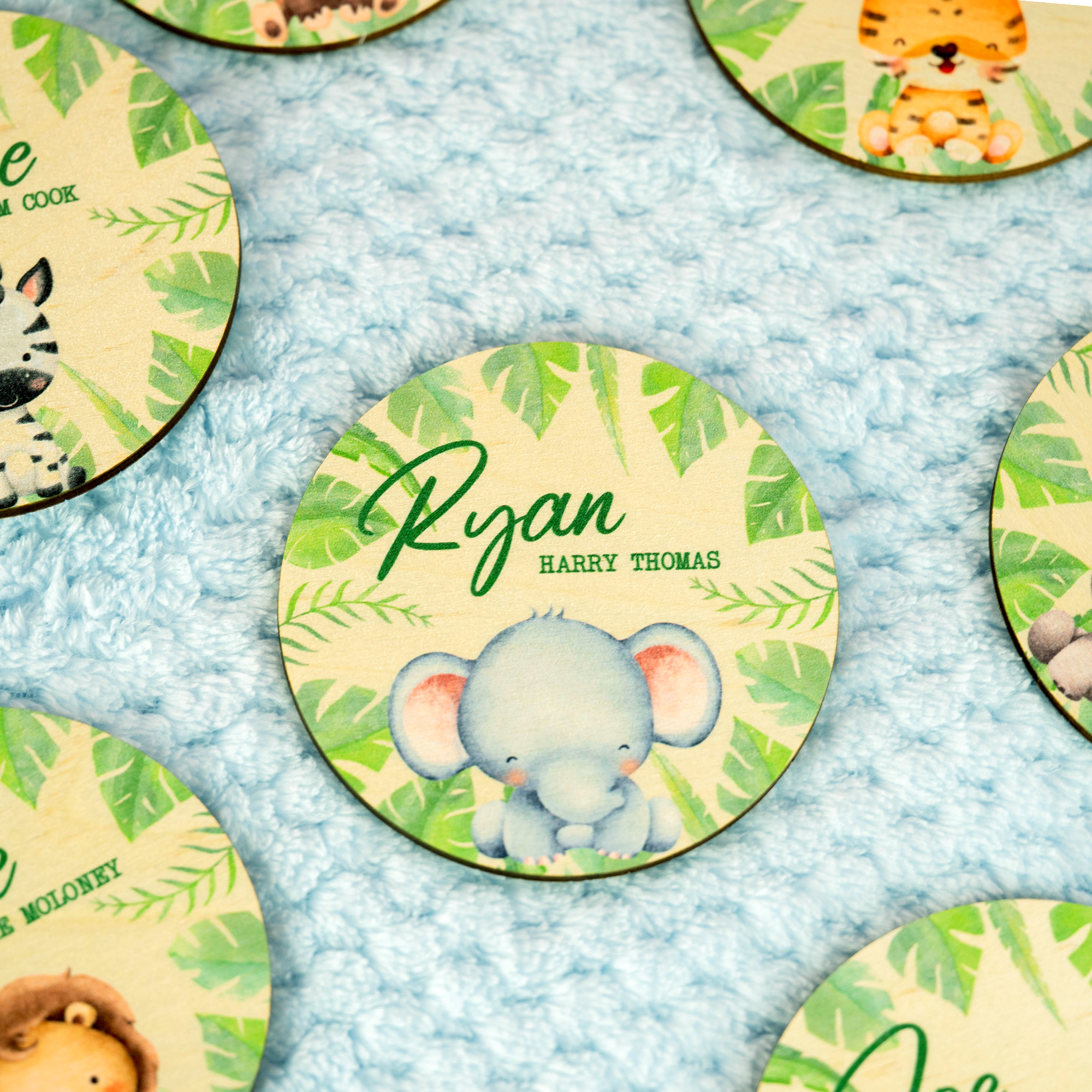 Personalised Printed Animal Themed Baby Disc