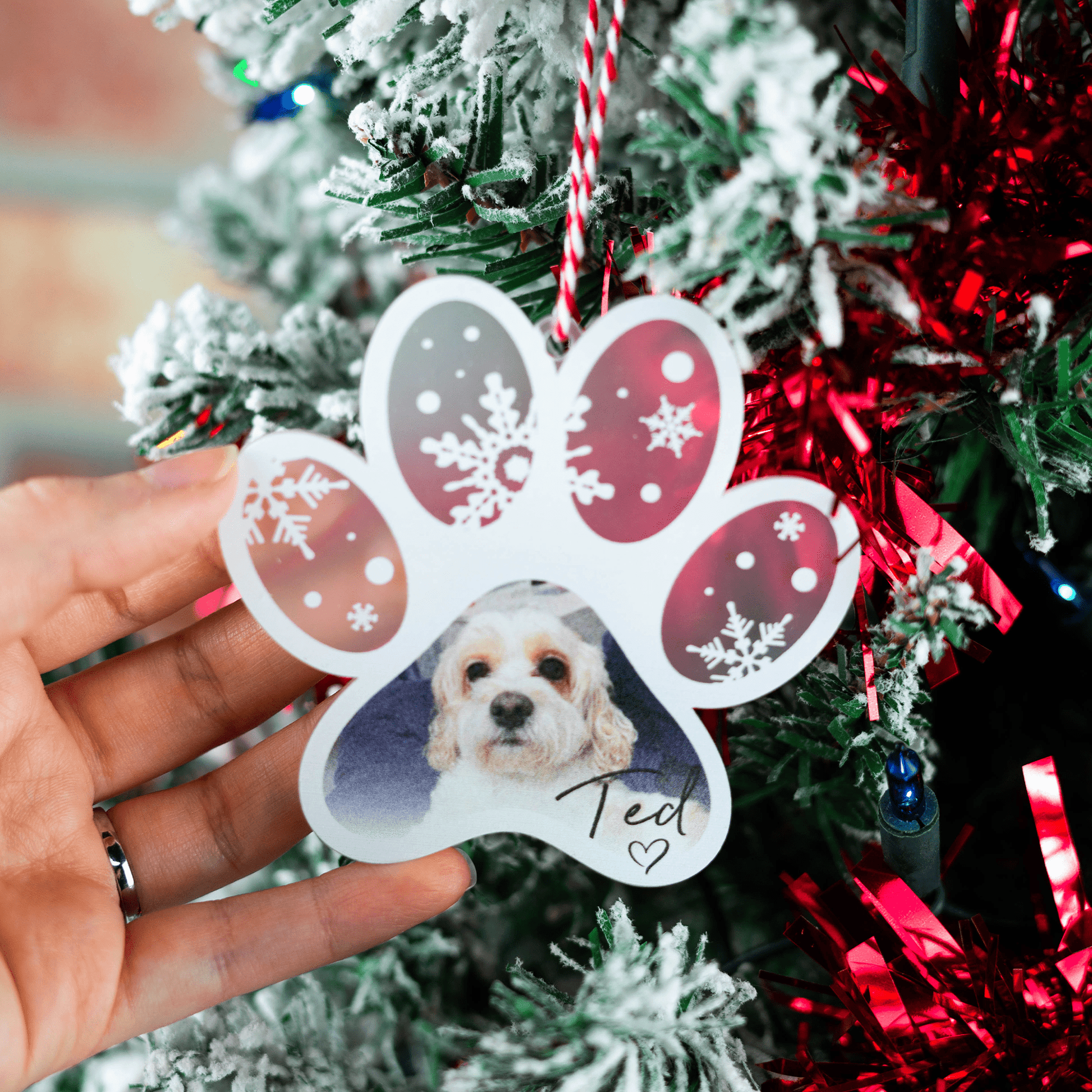 Personalised Printed Frosted Photo Paw Bauble - So Bespoke Gifts