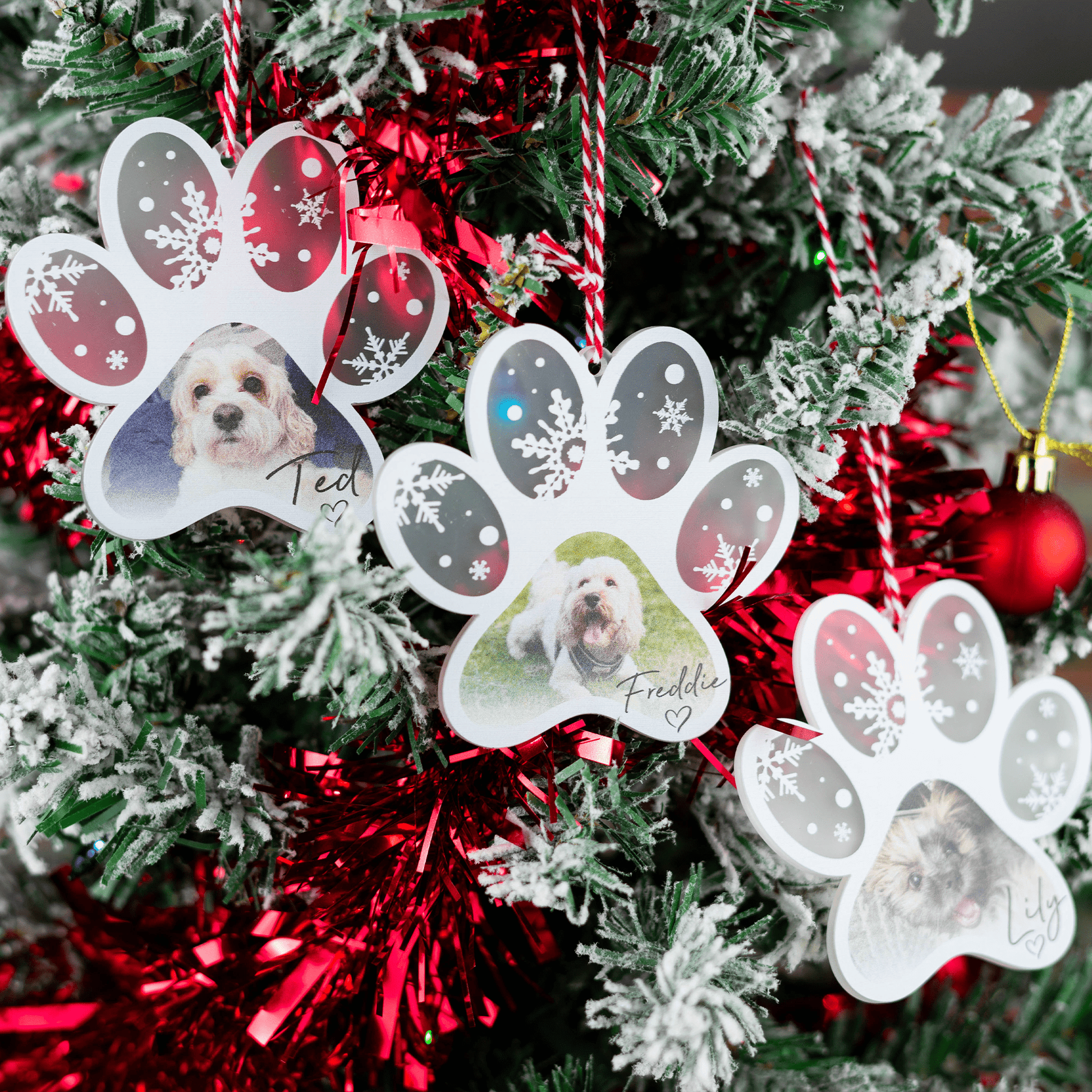 Personalised Printed Frosted Photo Paw Bauble - So Bespoke Gifts