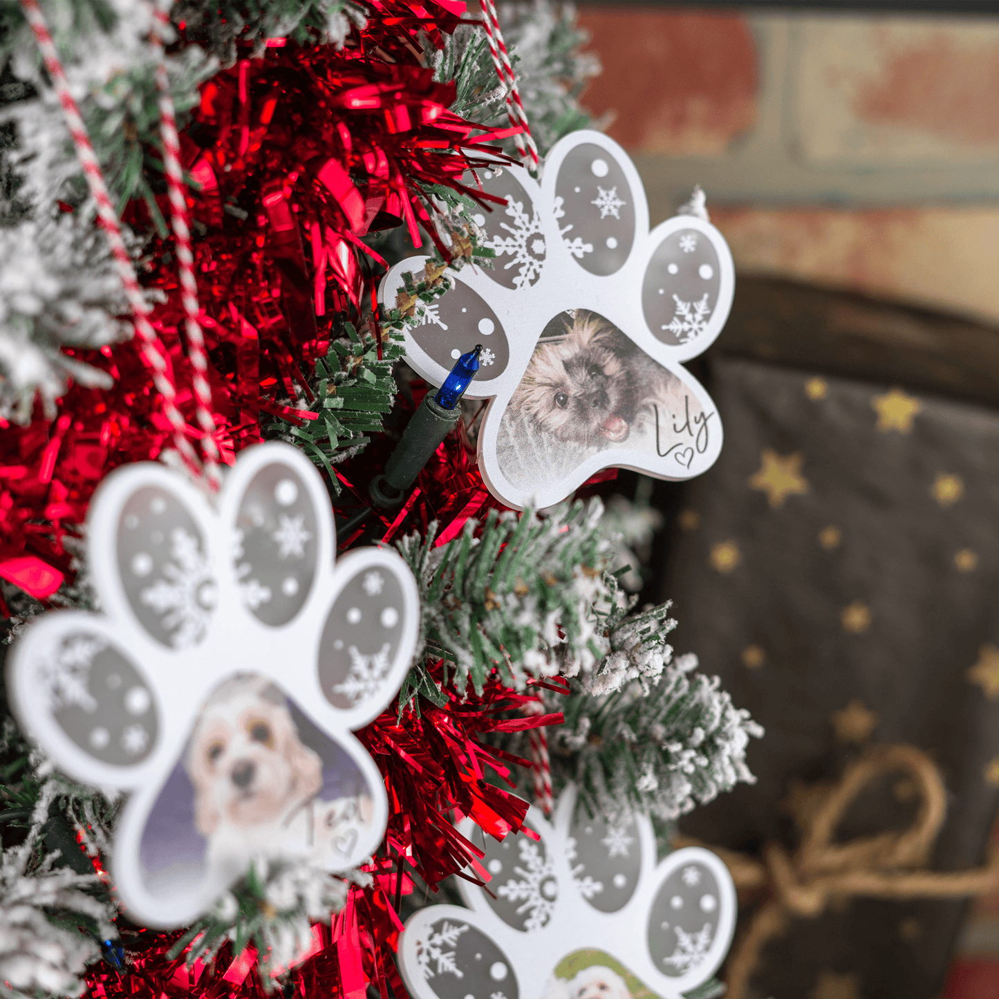 Personalised Printed Frosted Photo Paw Bauble - So Bespoke Gifts